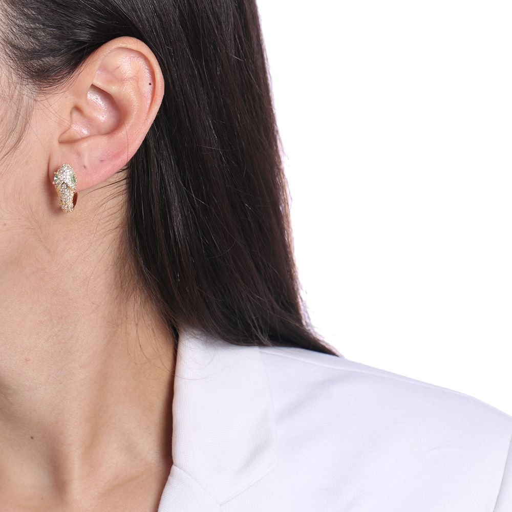 Ag-796-Do (16mm) Brinco De Argolinha De Cobra