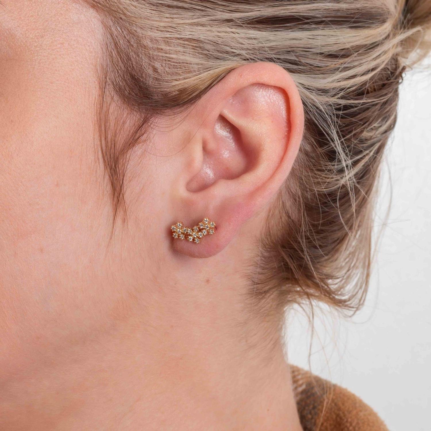 Brf-1356-Do Brinco De Florzinhas Cravejado Cristal.