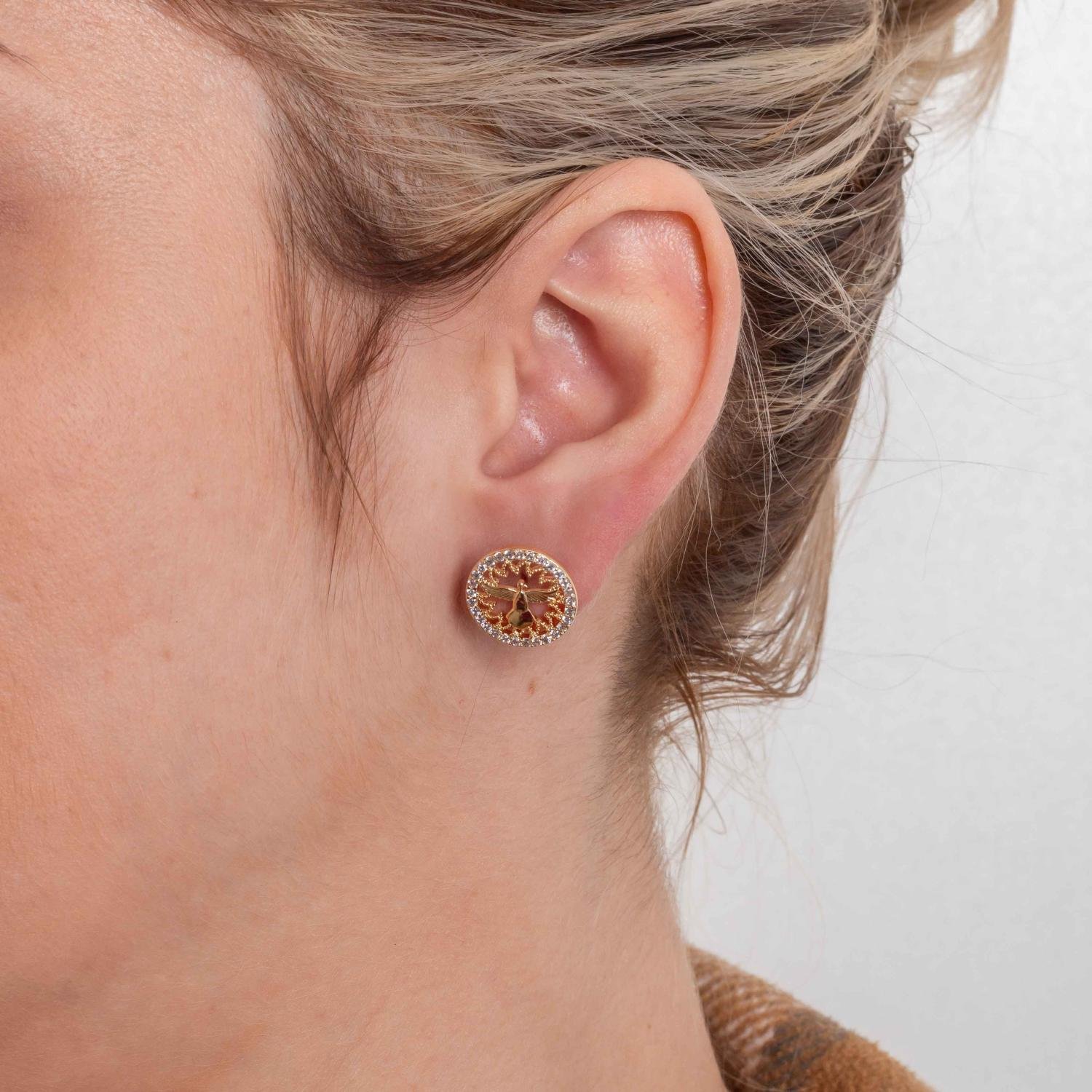 Brf-1363-Do Brinco De Espírito Santo Cravejado Cristal.