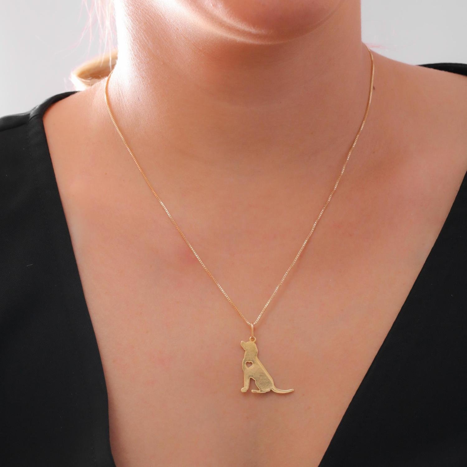 Cls-3539-Fo Colar Com Pingente De Cachorro - Labrador Retrievier (45cm+5cm).