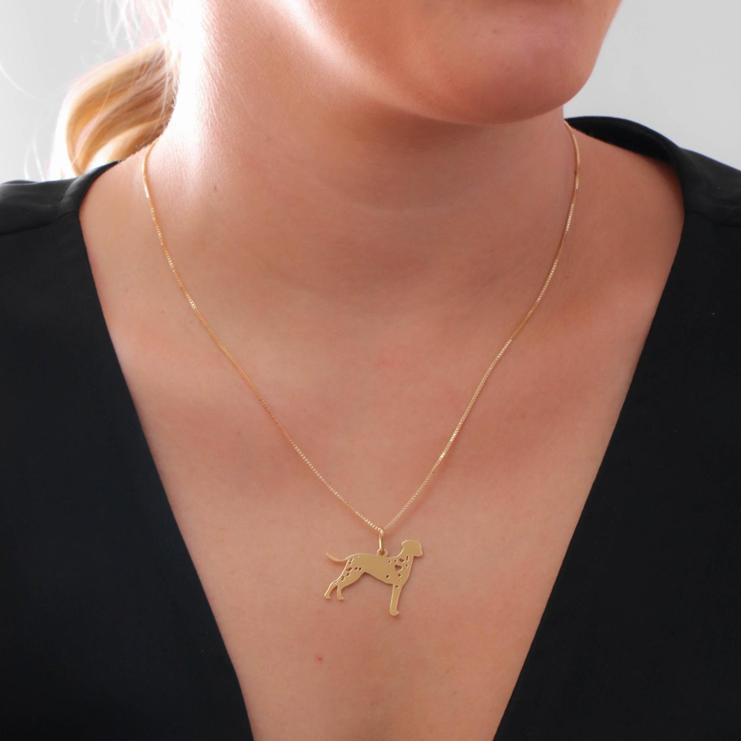 Cls-4042-Fo Colar Com Pingente De Cachorro - Dálmata&Nbsp; (45cm+5cm).