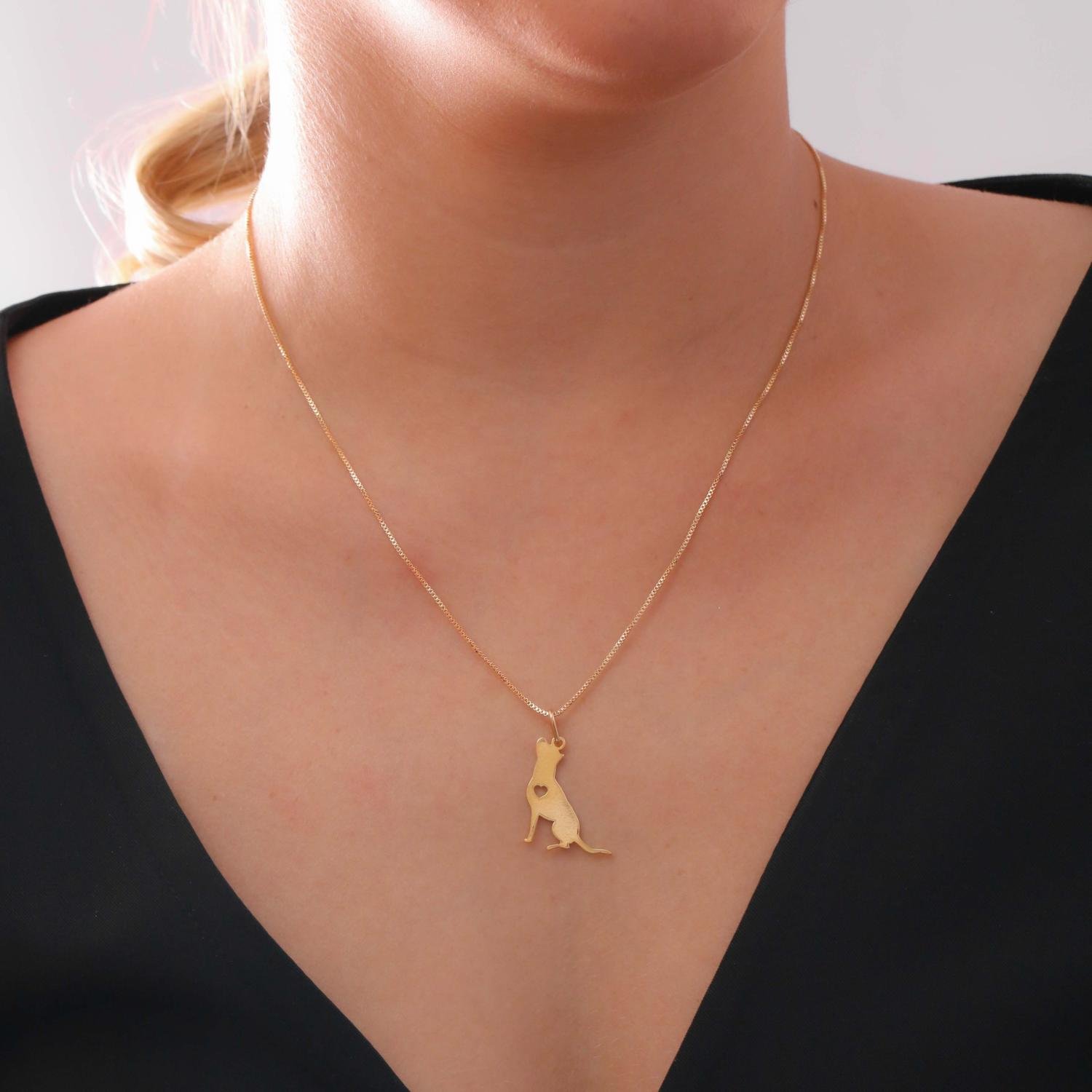 Cls-4047-Fo Colar Com Pingente De Cachorro - Pit Bull (45cm+5cm).