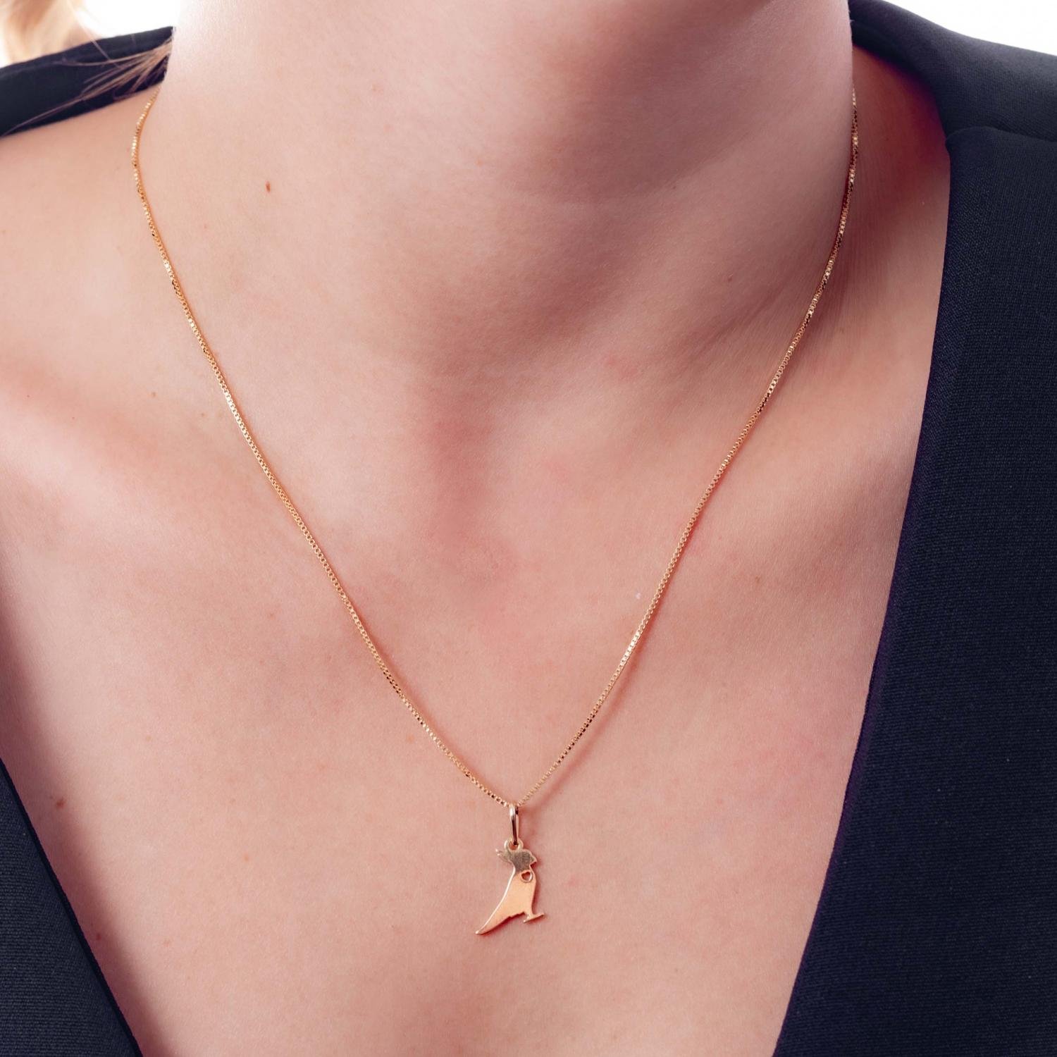 Cls-4090-Fo Colar Com Pingente De Calopsita Laser (45cm+5cm).