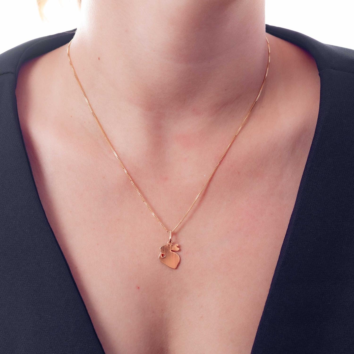 Cls-4096-Fo Colar Com Pingente De Coelho Laser (45cm+5cm).