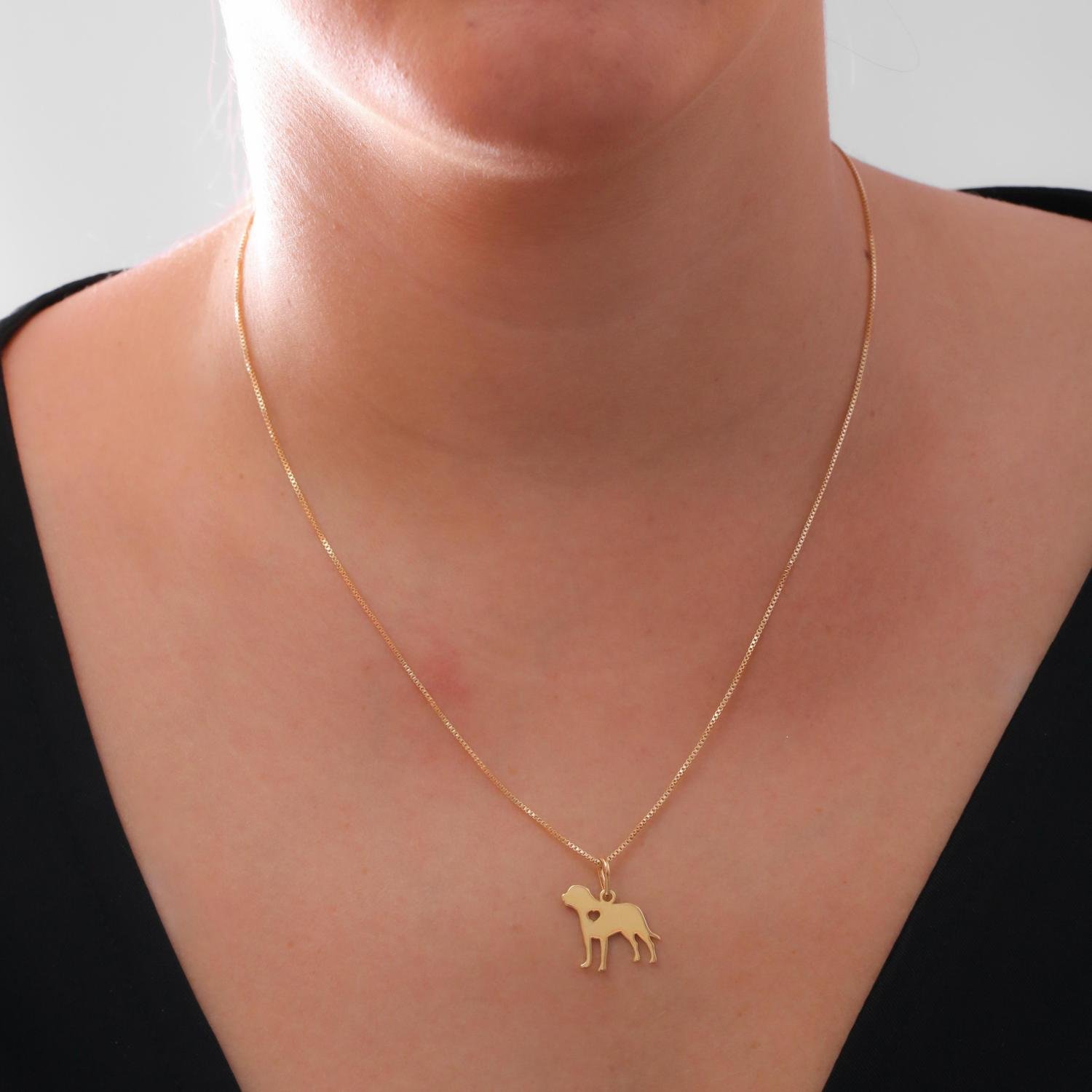 Cls-4141-Fo Colar Com Pingente De Cachorro Rottweiler (45cm+5cm).