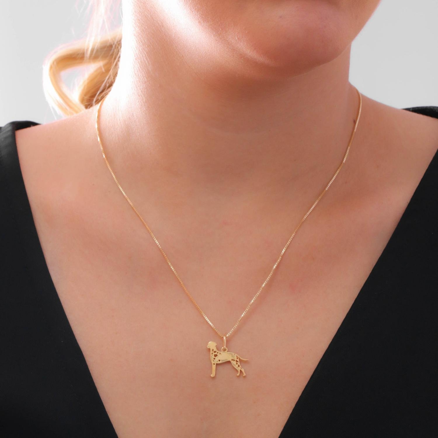 Cls-4144-Fo Colar Com Pingente De Cachorro Dálmata (45cm+5cm).