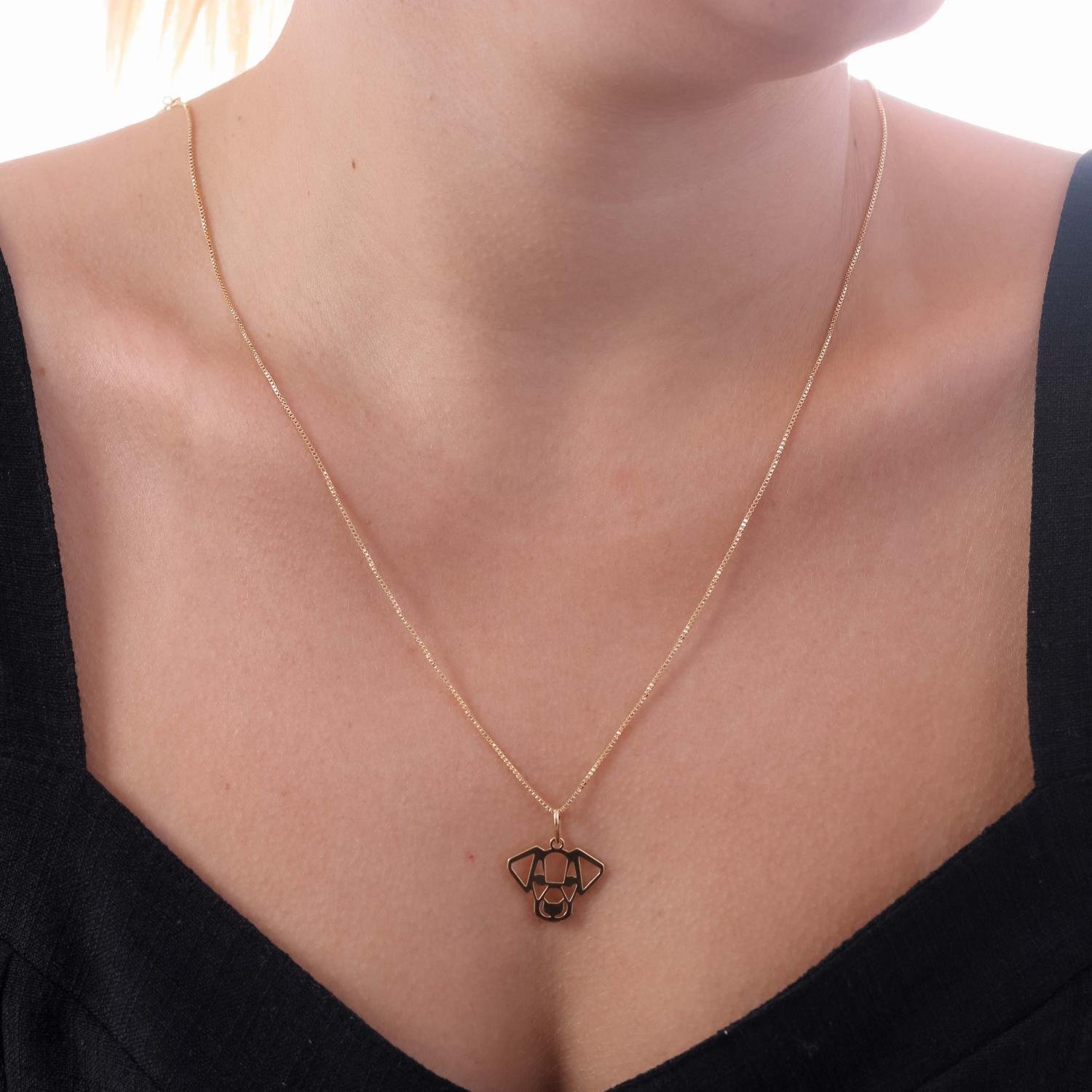 Cls-706-Fo Colar De Cachorro (45cm+5cm)