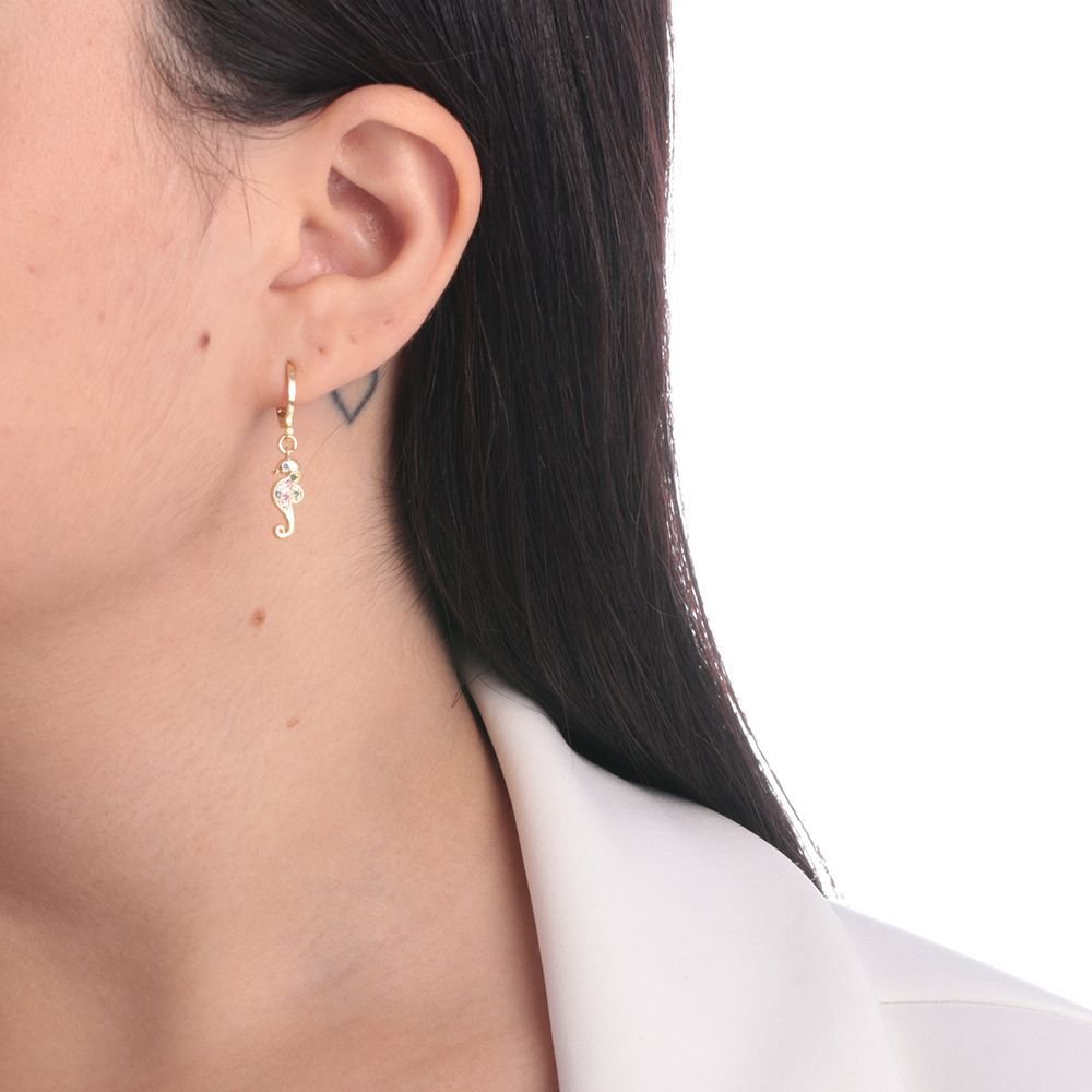 Ag-490-Do Brinco De Argolinha De Cavalo Marinho