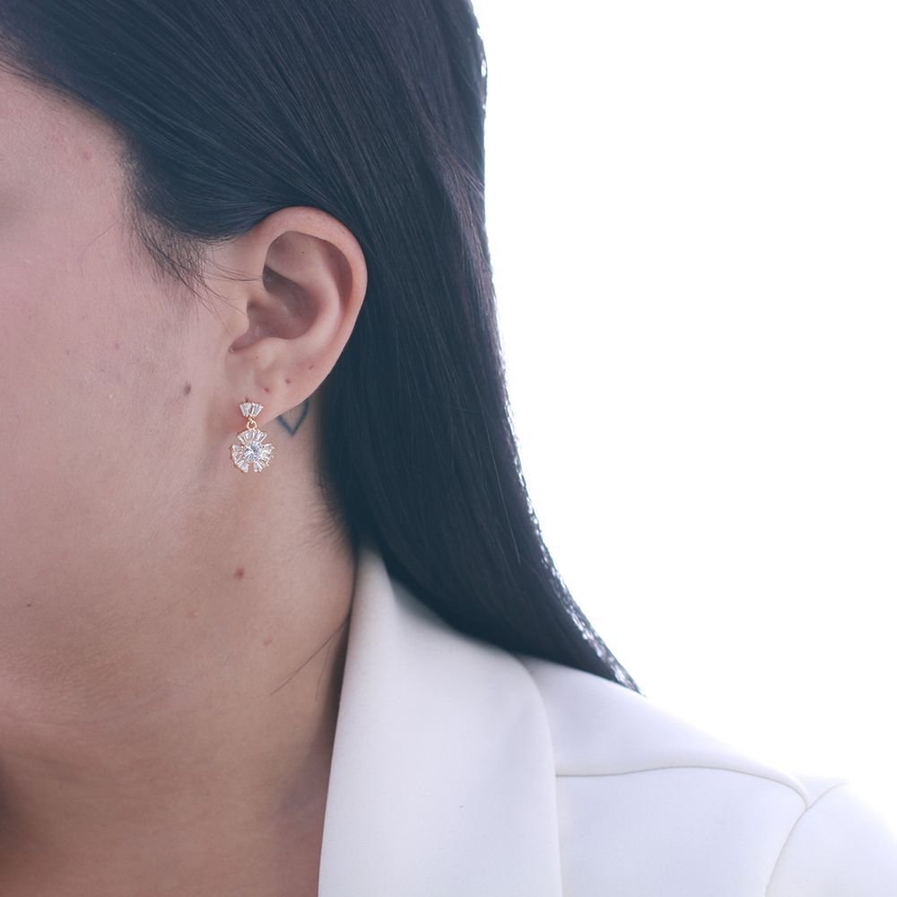 Brf-510-Do Brinco Com Zircônias